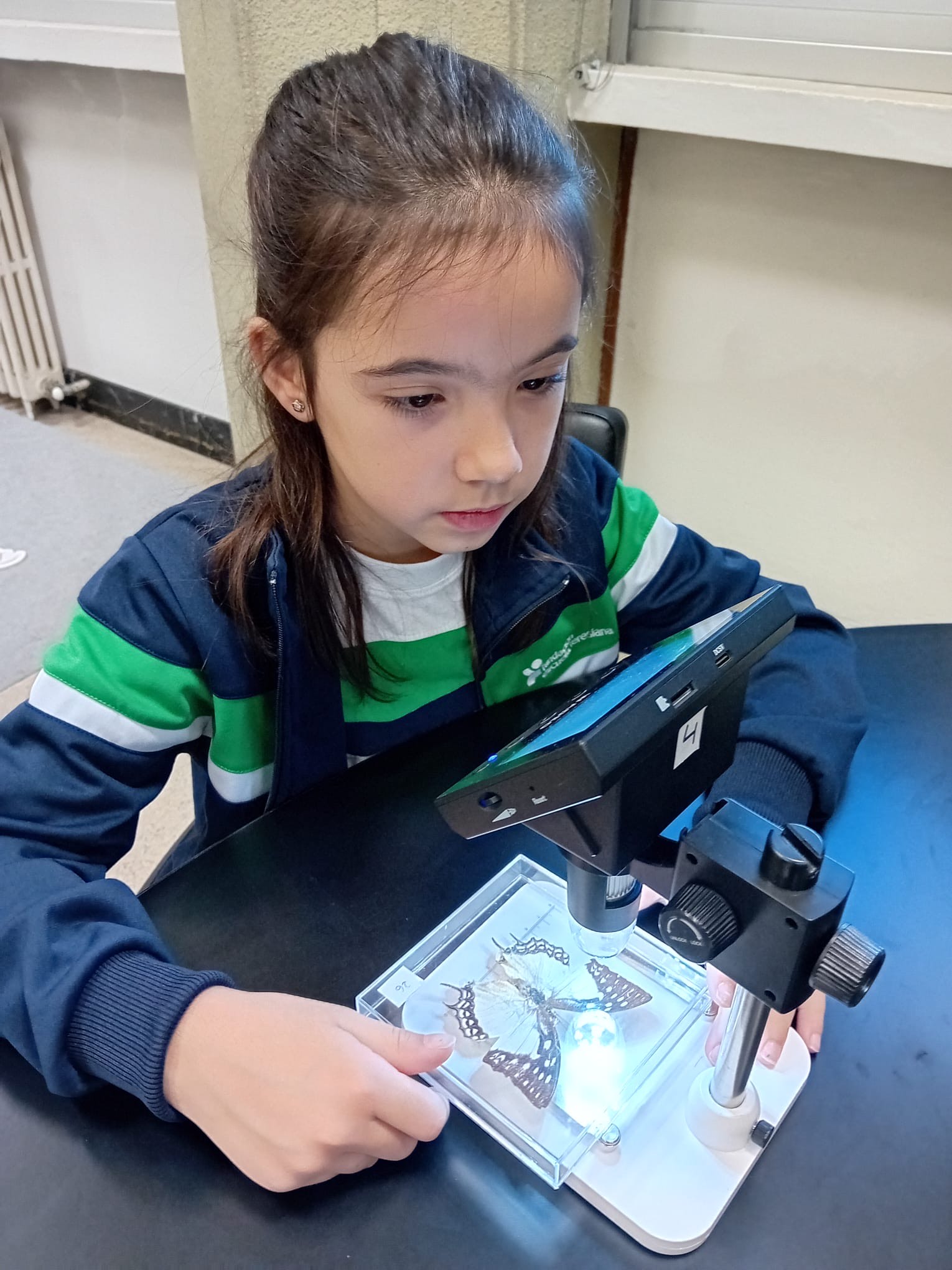 17d22931-ded8-472f-9190-192cad91dc1b