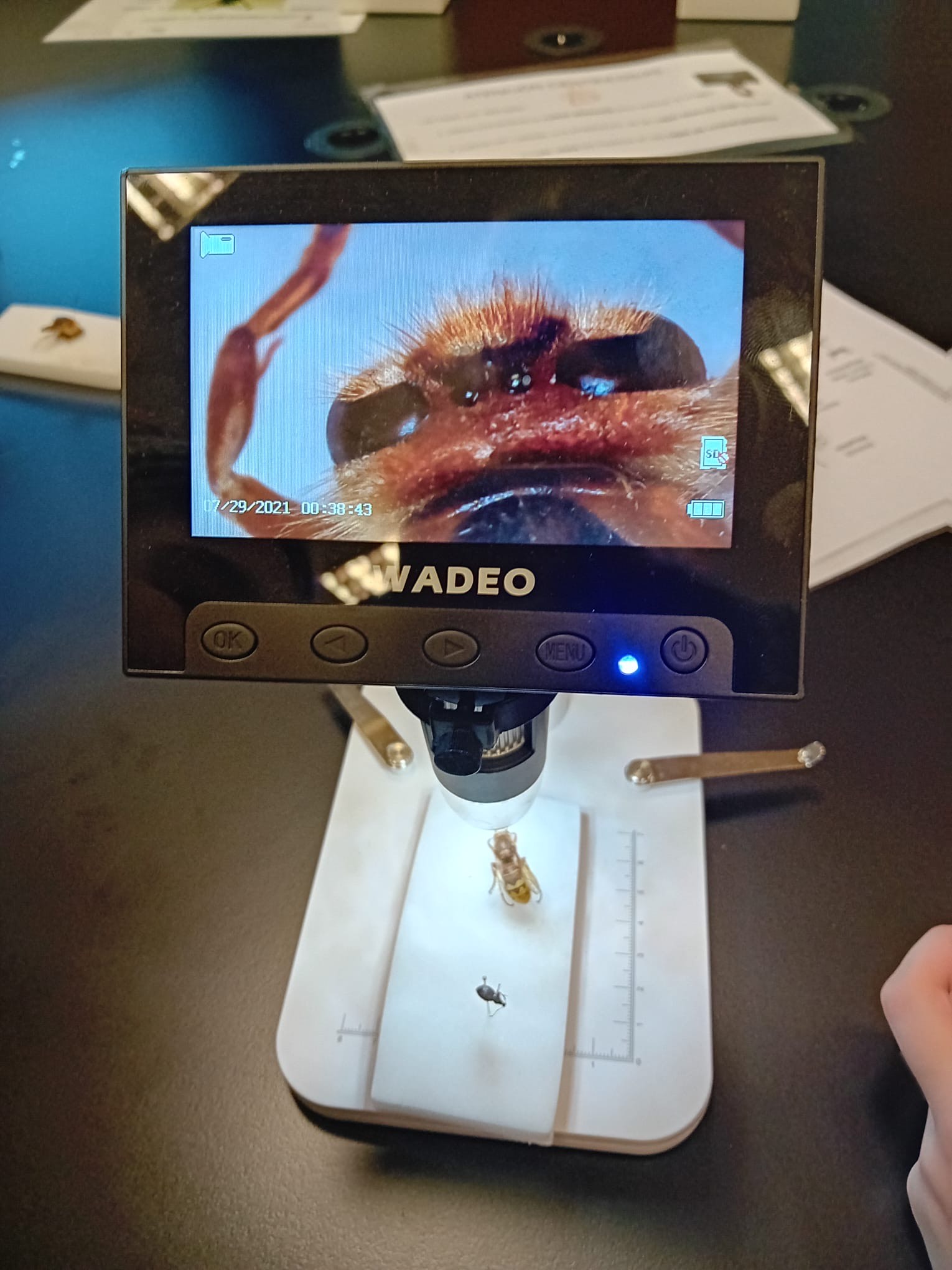 2cf920f5-9155-4cdc-9781-e4e75373dfaf